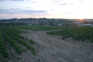 Photo de la Somme brackettée