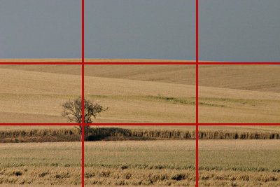 Paysage de campagne avec un arbre