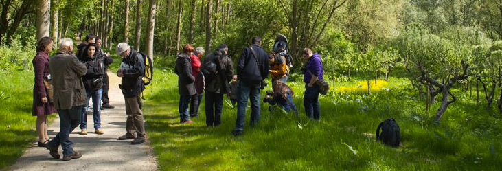 Sortie-photo à Albert