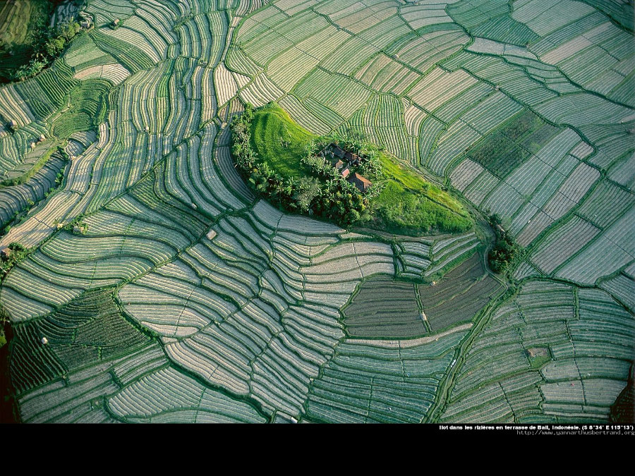 Yann Arthus Bertrand